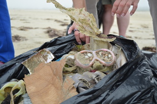 Bag of marine debris